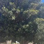 Δωμάτια σε οικογενειακή κατοικία Ca Didi *
